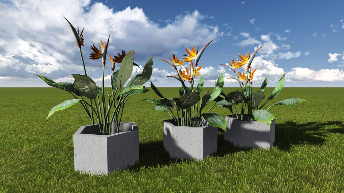 Çevre Düzenleme Elemanları